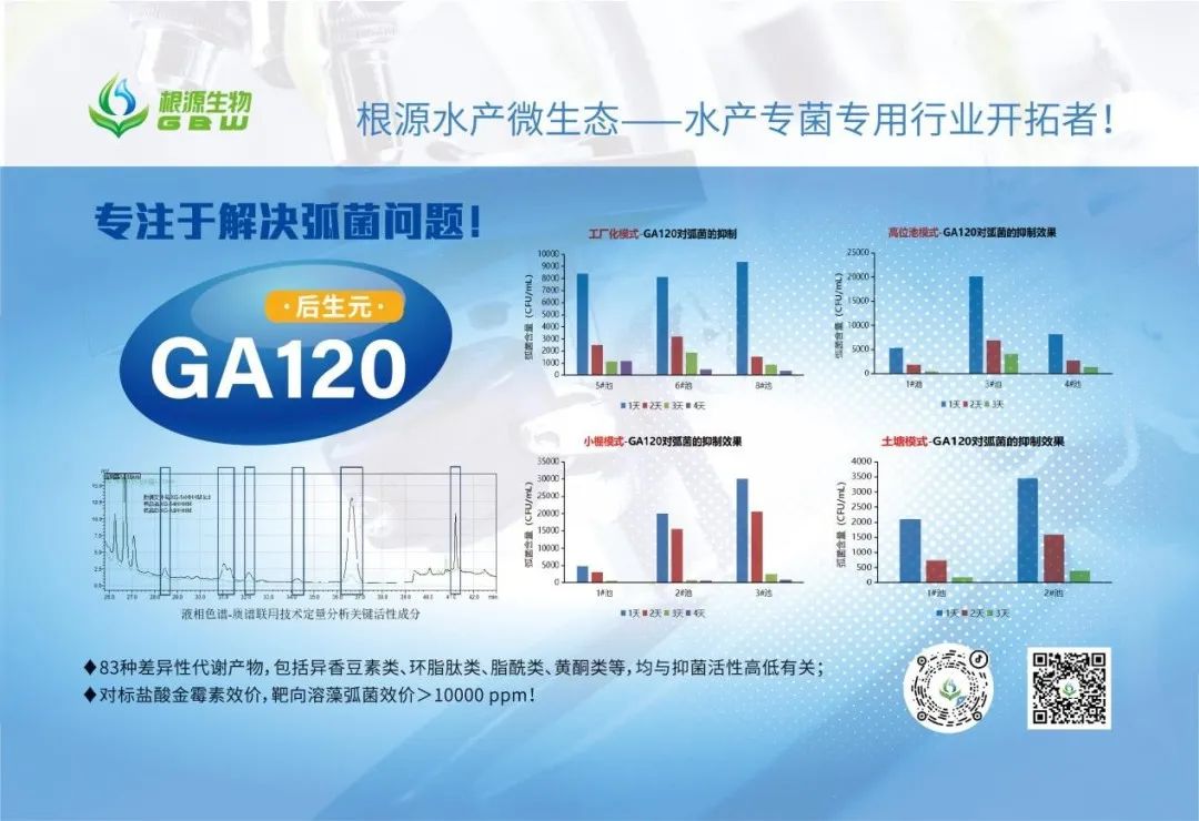 1678775357646714.jpg 8.jpg