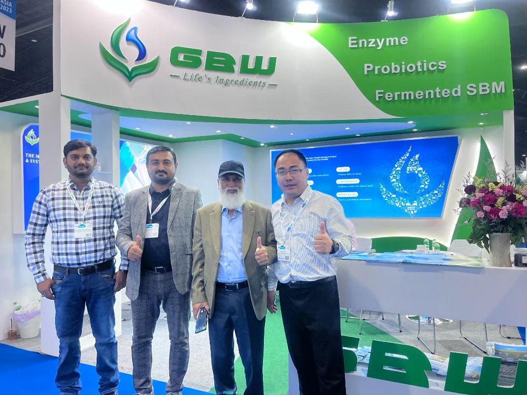 1678775891817173.jpg 6.jpg